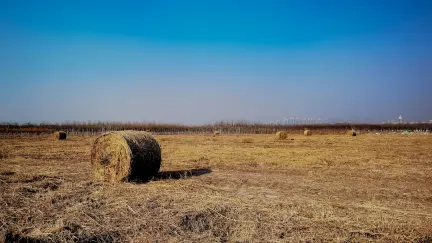 Casino Slot Shack Farsímaforrit